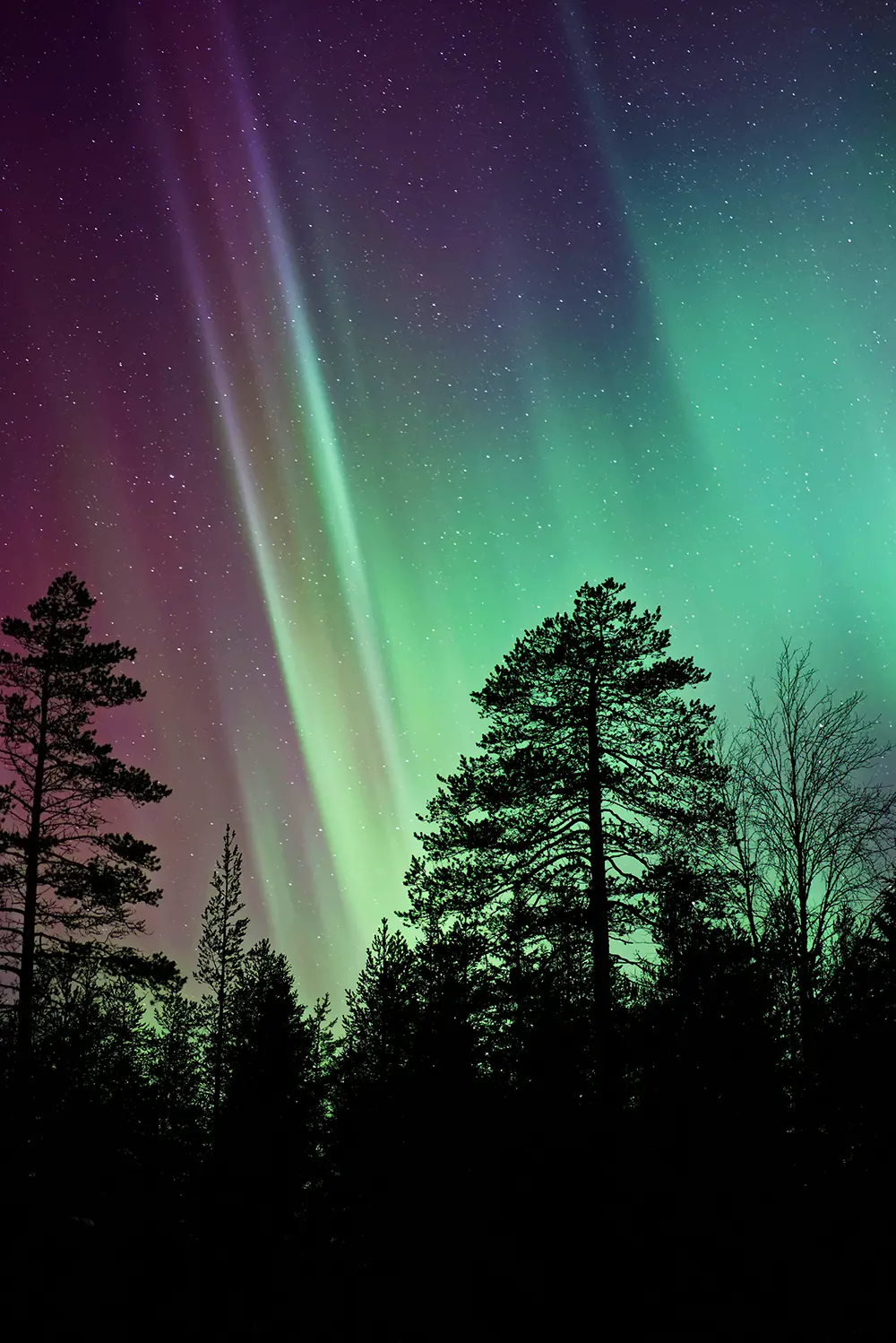 Northern Lights at Our Mountain Retreat
